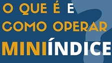 ENTENDA AGORA O QUE É MINI-ÍNDICE E COMO OPERÁ-LO