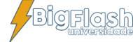 LOGO_BIGFLASH-CONTORNO-AZUL-SITE